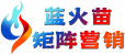 GEO优化-网站SEO优化公司-谷歌优化排名外包-蓝火苗